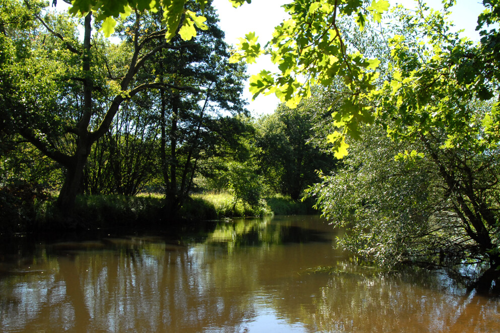 Landkreis Lüneburg Biotope