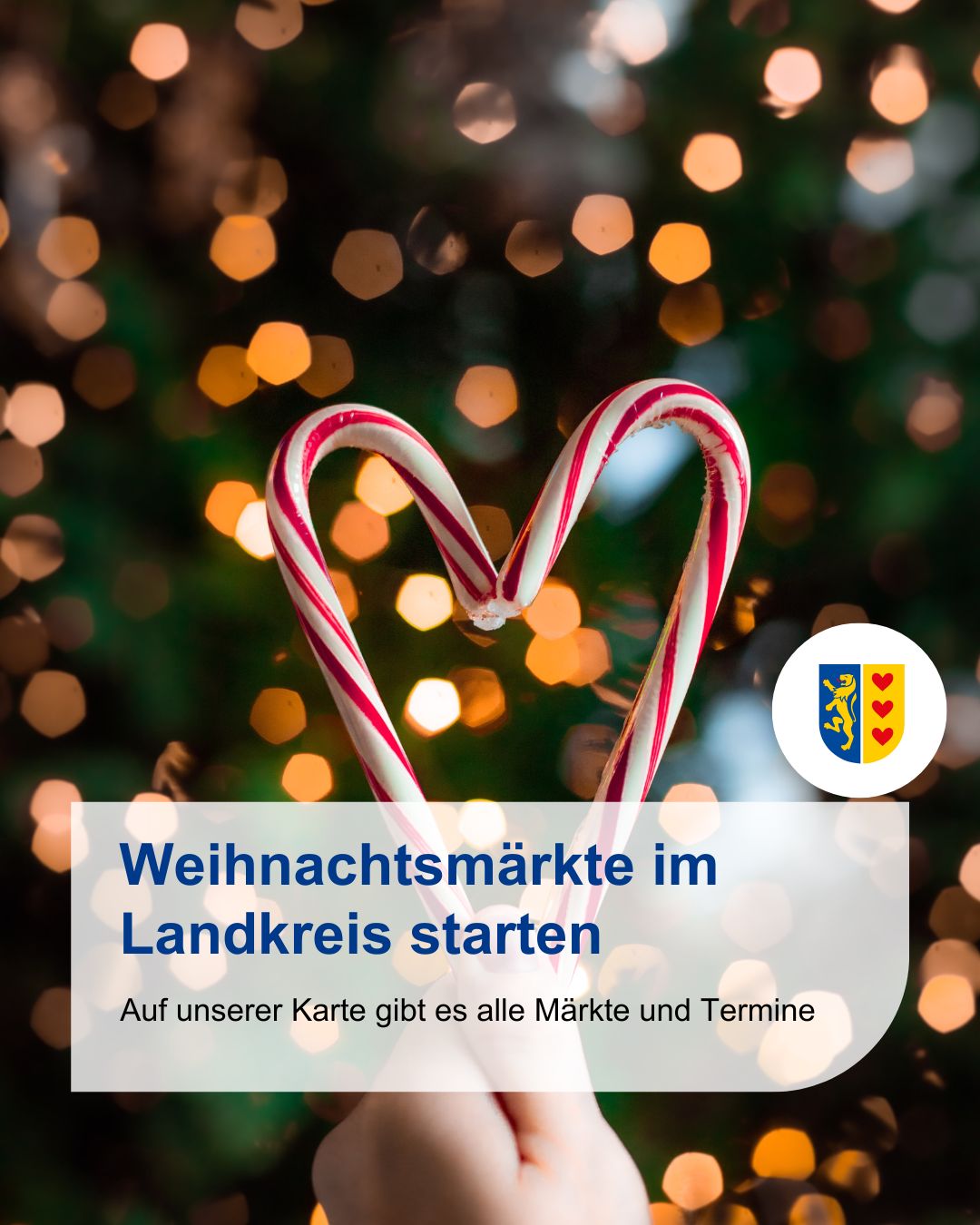 Heidekönigin 2024/25 Nele Rörup