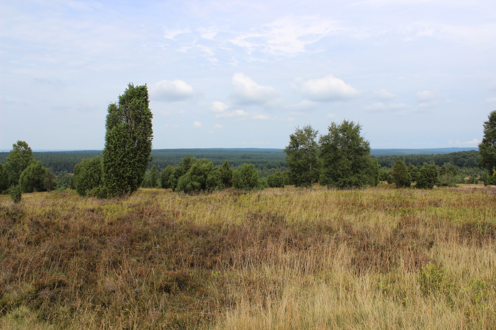Landkreis Lüneburg Aktiv für den Naturschutz