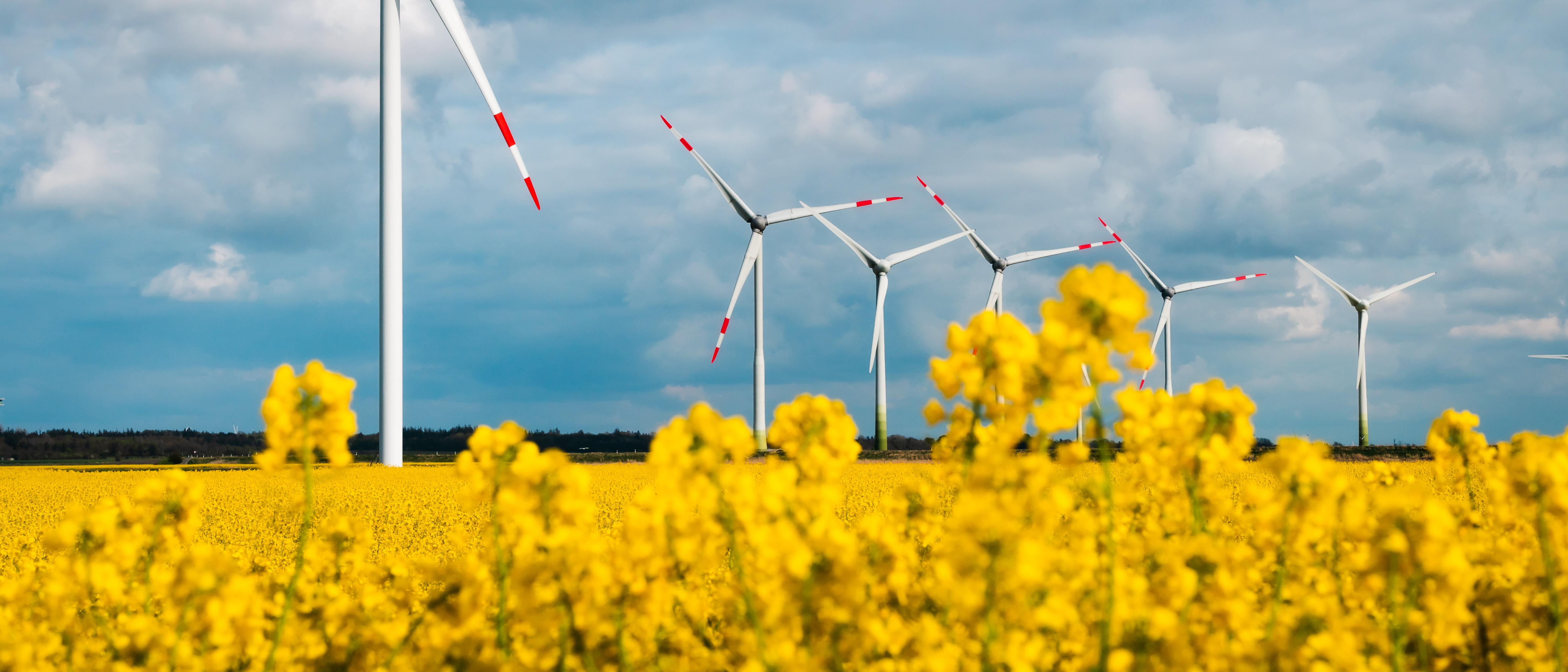 Windkraftanlagen auf grünen Feldern.