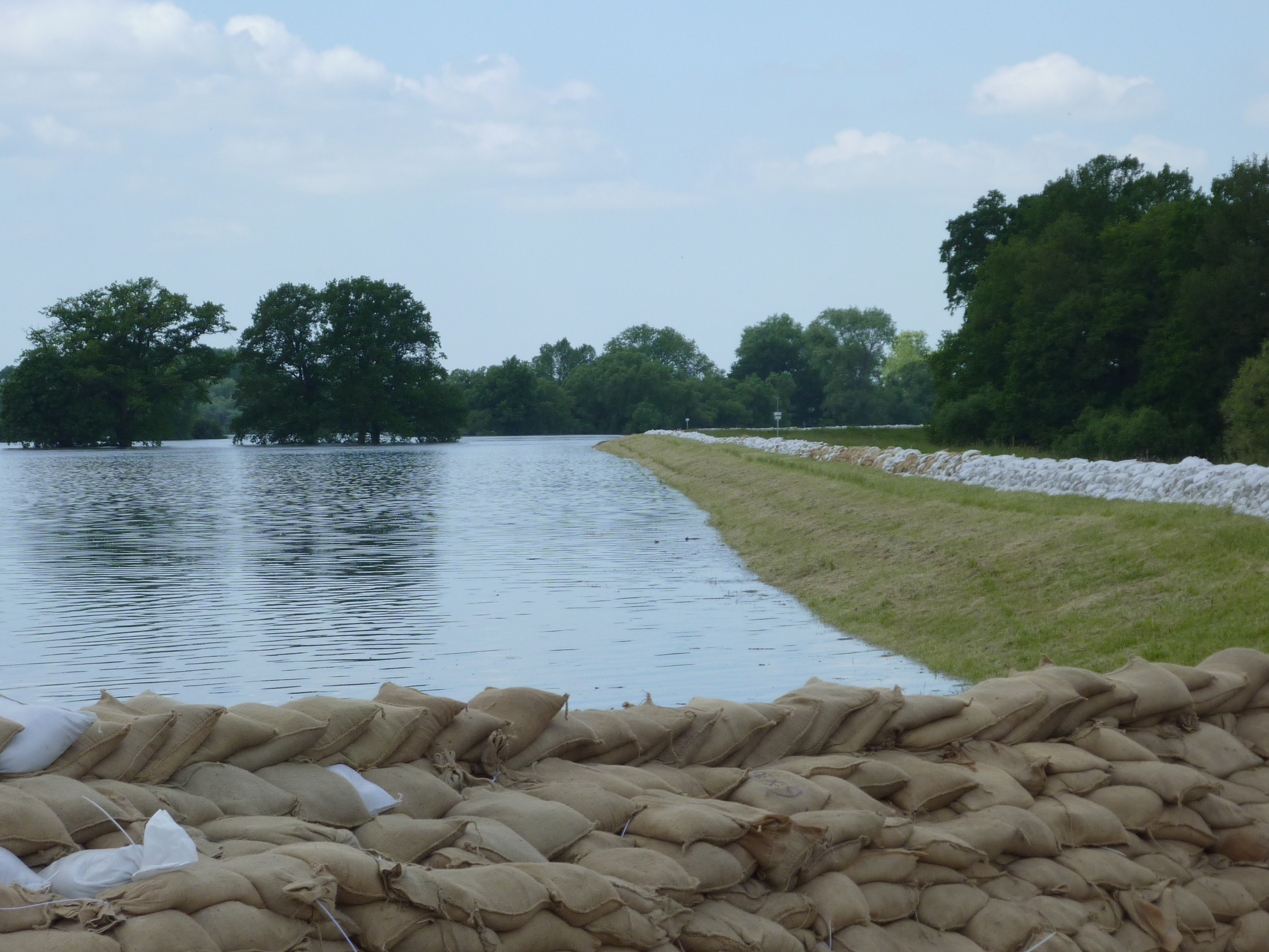 Die Elbe bei Hochwasser. Der Deich wird durch viele Sandsäcke verstärkt.