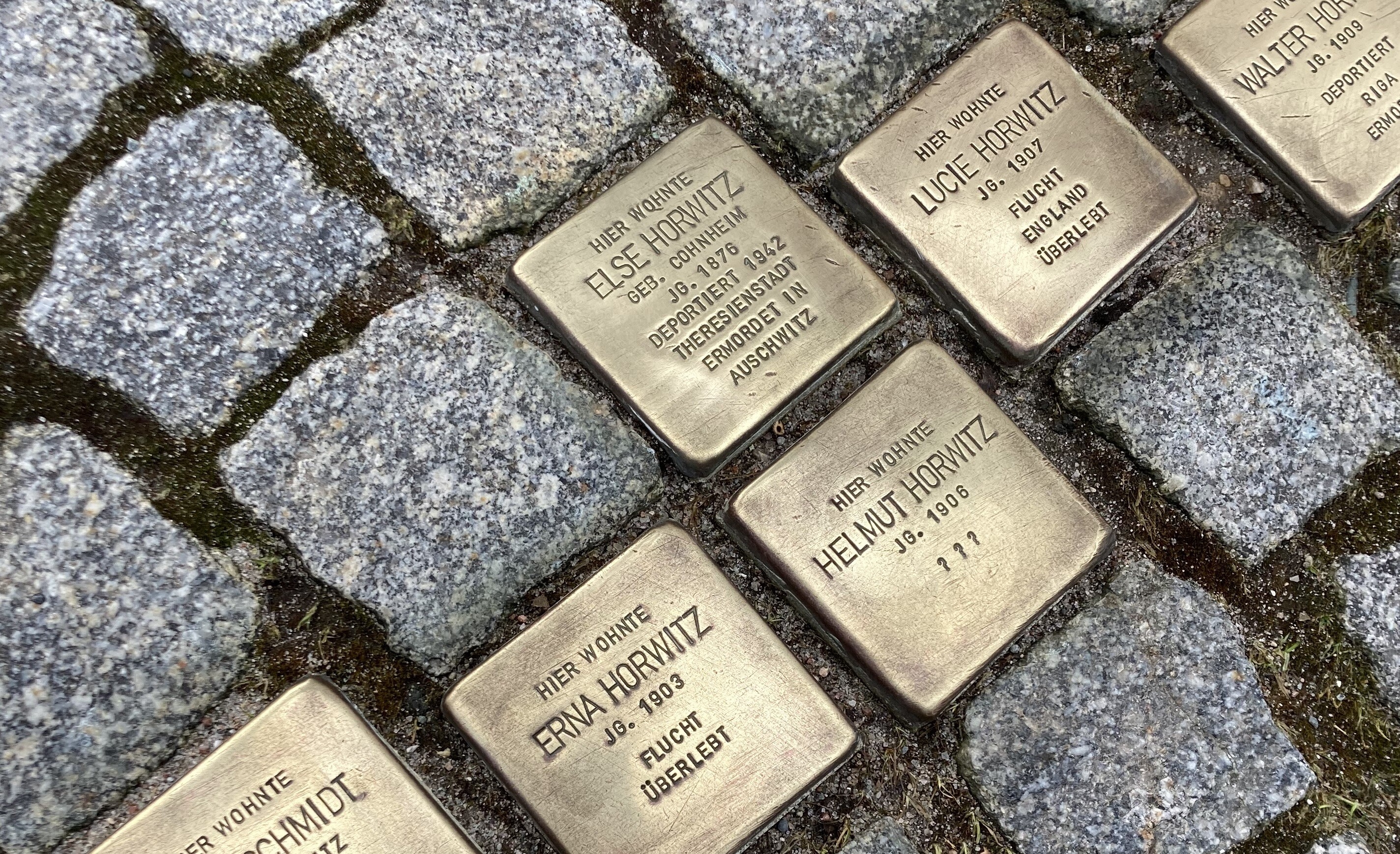 Stolpersteine als Erinnerung an die Opfer des Nationalsozialismus und des Holocaust.