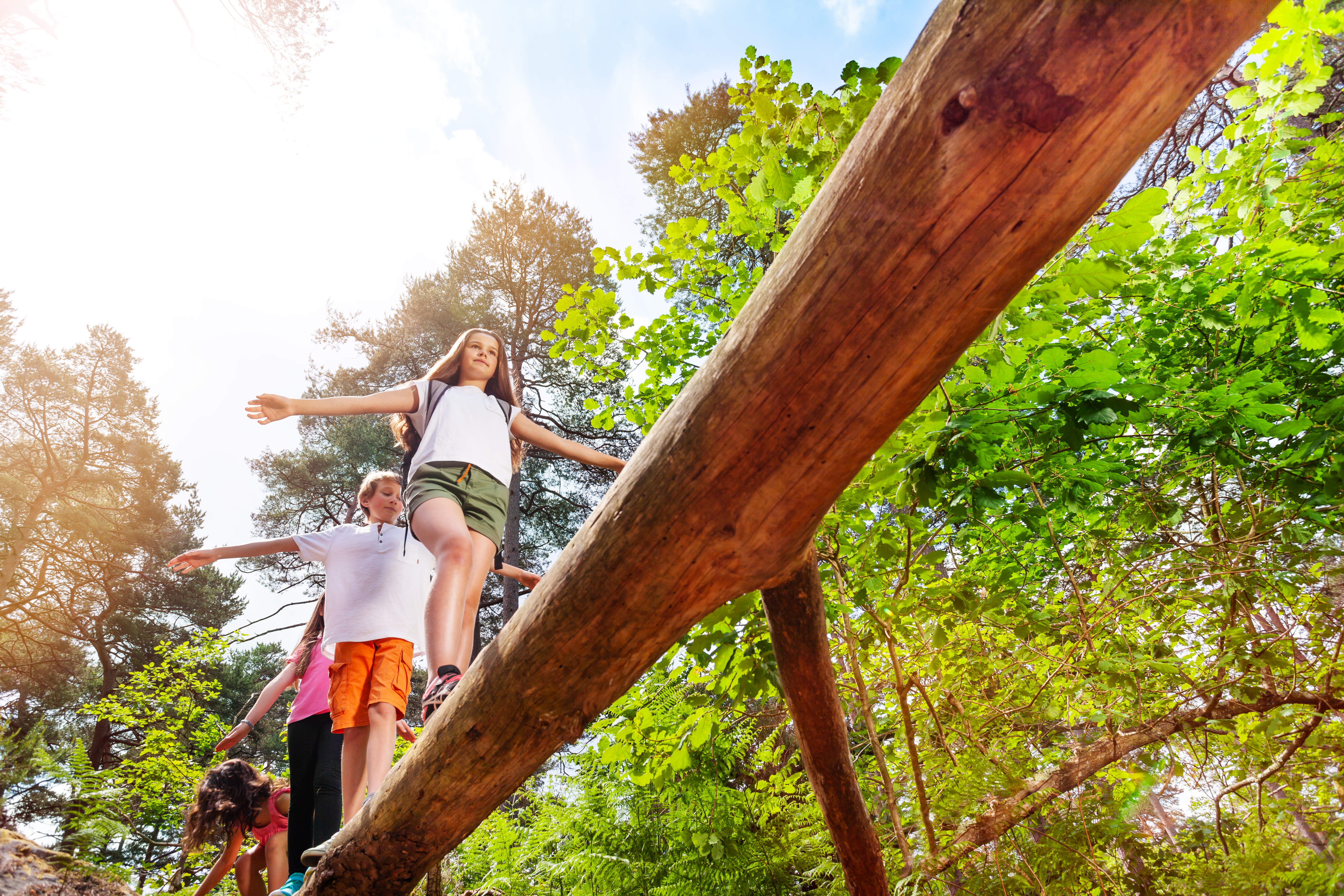 Kinder balancieren auf einem Baumstamm im Wald