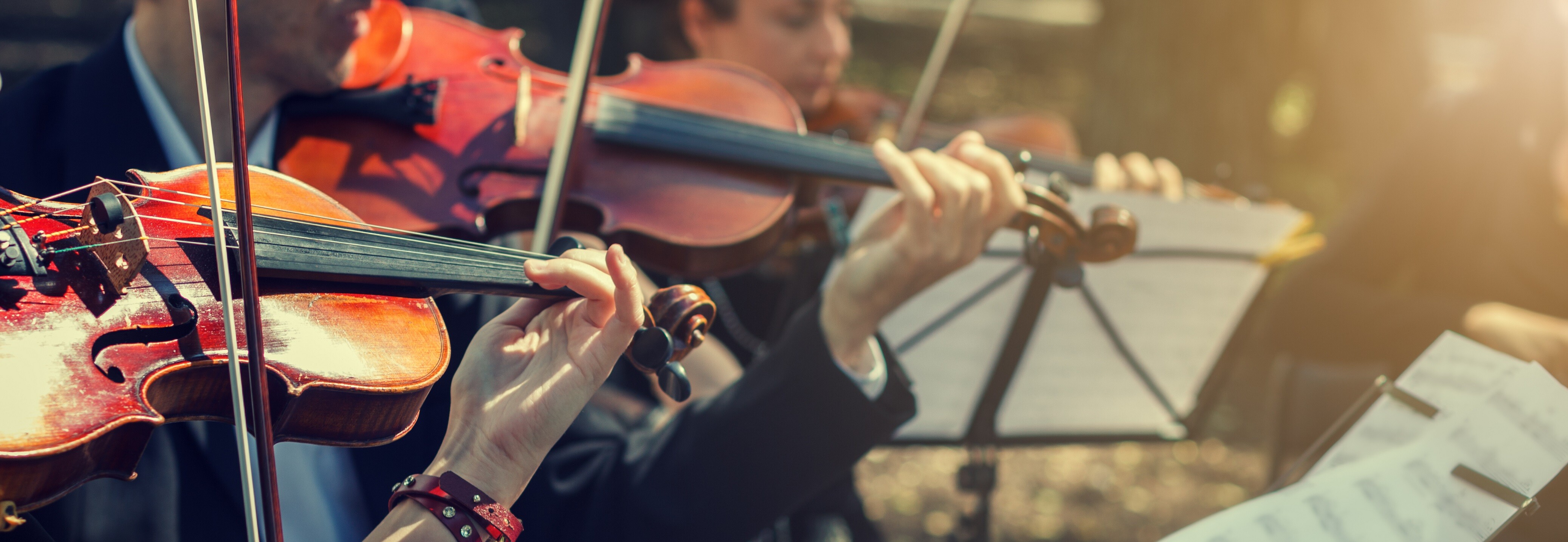 Eine Gruppe spielt auf Geigen.