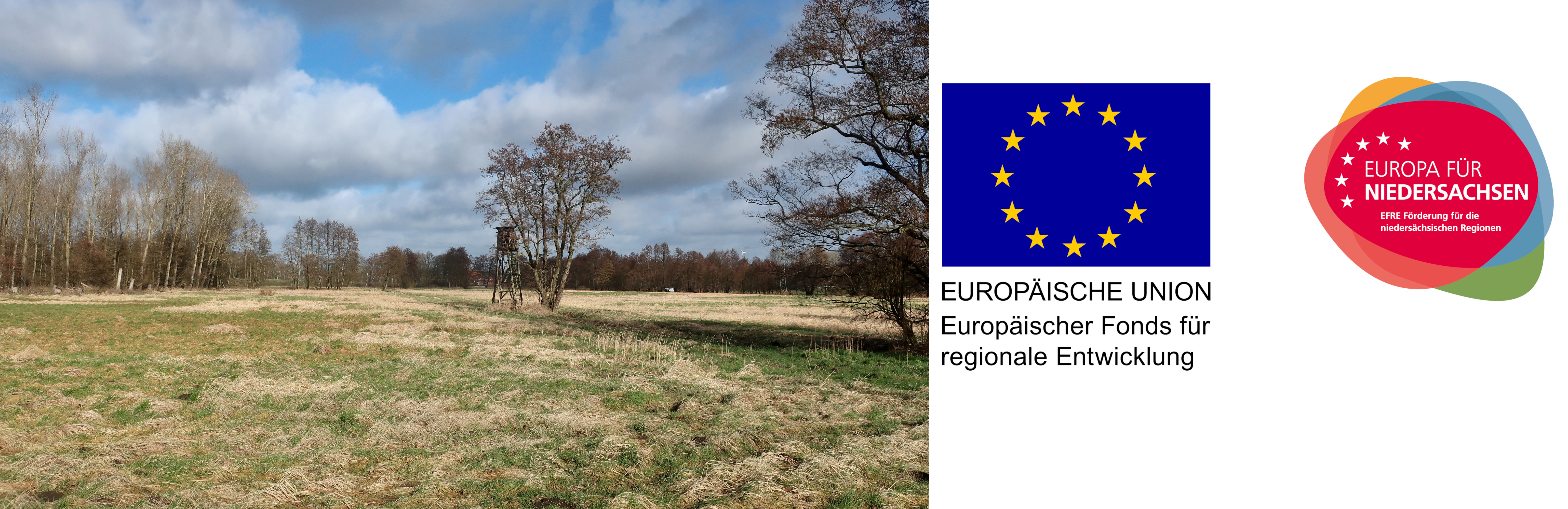 DieFörderung der Entwicklung des Dahlenburger Moors mit Unterstützung durch die EU.