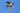 Eine Schwalbe fliegt vor strahlend blauem Himmel.